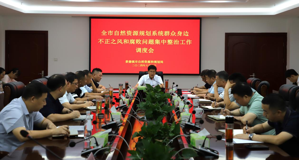 全市自然资源规划系统群众身边不正之风和腐败问题集中整...